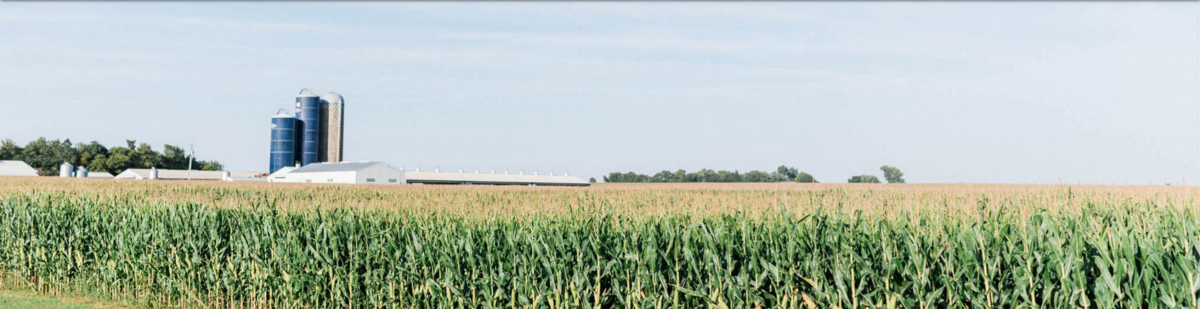 Son-D-Farms