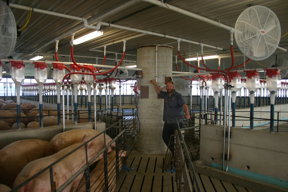 Dykhuis Farms, Inc.