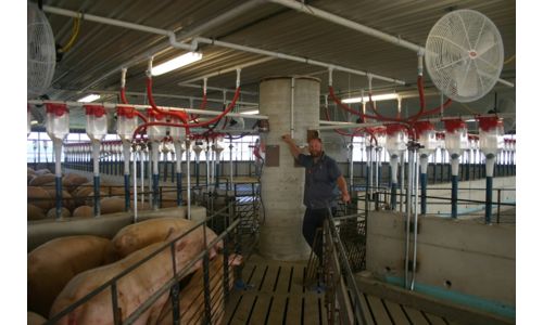 Dykhuis Farms, Inc.