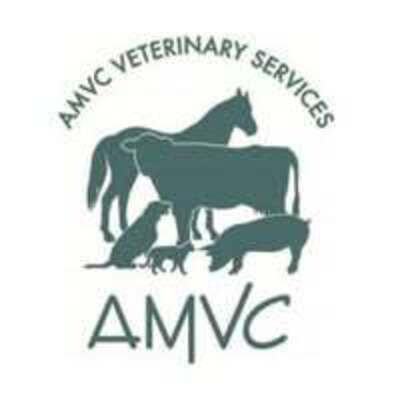 AMVC